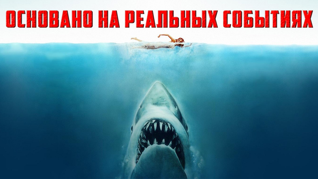 10 реальных историй, по которым сняли фильмы ужасов смотреть онлайн