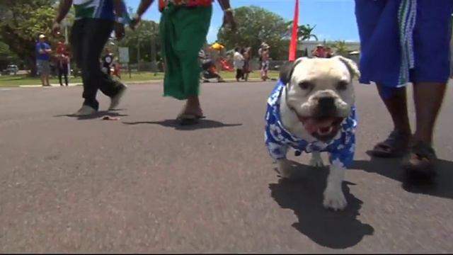 Winds of Zenith (Torres Strait, documentary) смотреть онлайн