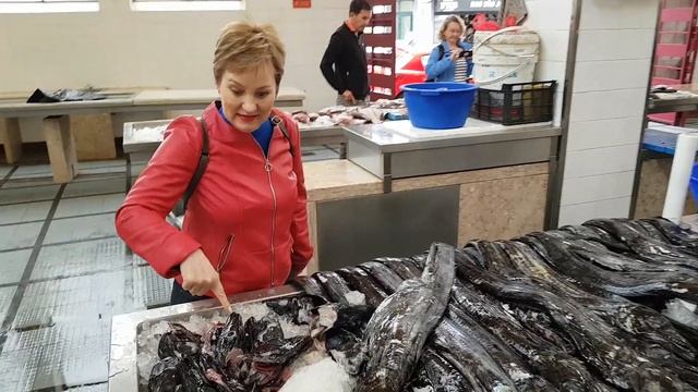 Рыбы-дракон смотреть онлайн