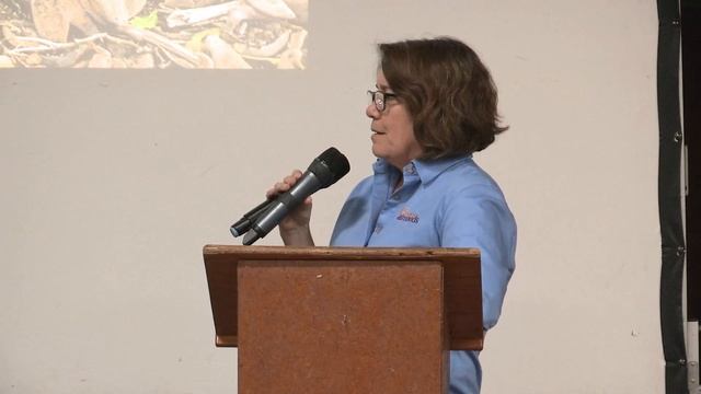 Above and Beyond the Soil Panel смотреть онлайн