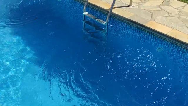ALEXA Casa Inteligente para Automatizar a Piscina por Comando de Voz смотреть онлайн