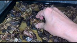 Сушим легкое для собак, просто и не дорого.