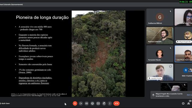 Live #8 "Ecossistemas de SC e suas aves: Floresta Mista e Campos de Altitude" com Raphael Zulianell смотреть онлайн