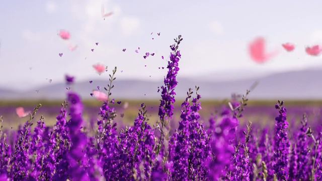 Relax Japanese music смотреть онлайн