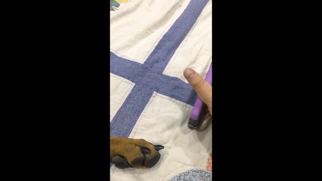 Как подстричь когти собаке смотреть онлайн