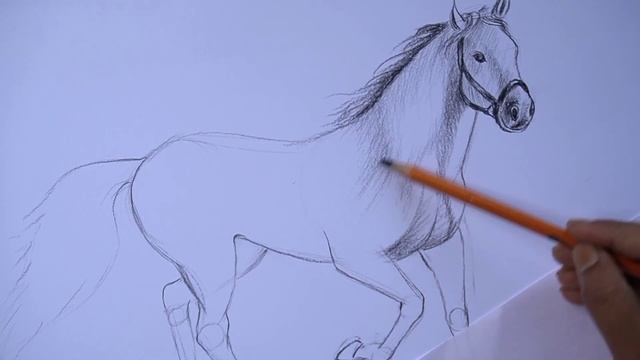 How to draw a horse step by step | Pencil shading Drawing | Charcoal смотреть онлайн