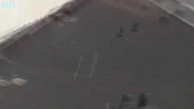 Гигантские Насекомые которых Удалось Снять на Камеру смотреть онлайн