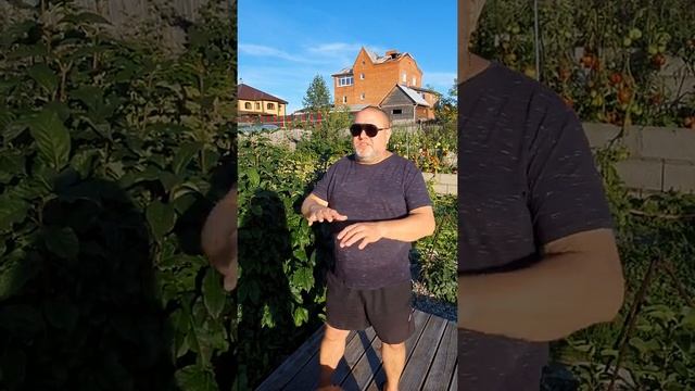 ?Анекдот про Вовочку и 1 сентября? смотреть онлайн