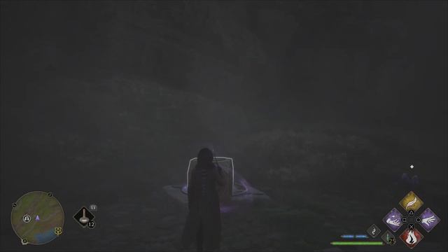 Hogwarts Legacy : Хранилище Сокровищ. Южный Хогвартс 4.