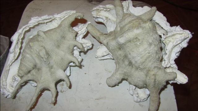 МК раковины из папье маше. смотреть онлайн