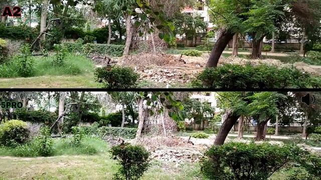 Mi A2 Vs Redmi Note 5 Pro Camera Comparison|Mi A2 Camera Review|Redmi Note 5 Pro Camera Review