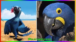 РИО в Реальной Жизни! Персонажи Рио 2!