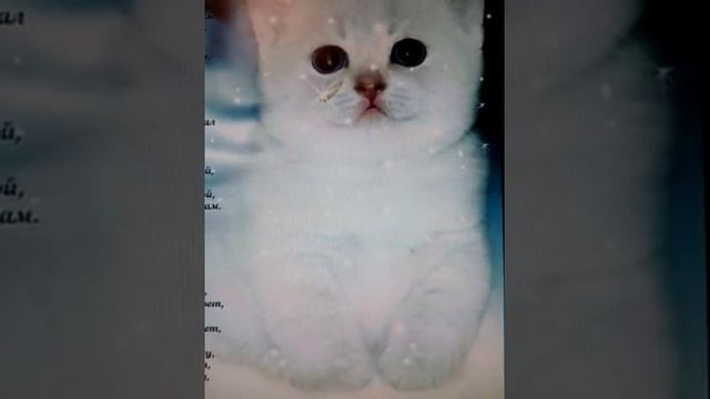 Я тебя никому не отдам. смотреть онлайн