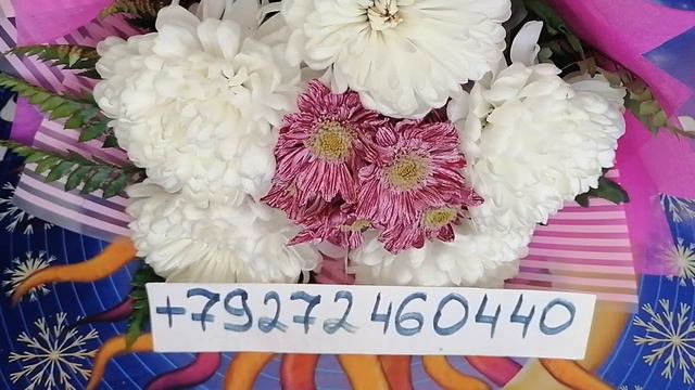 Плюсы и минусы гражданского брака... смотреть онлайн