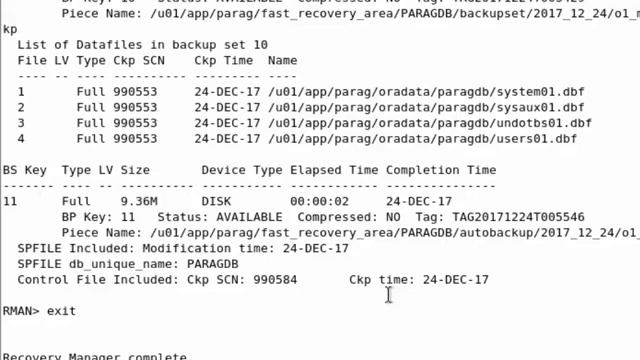 Restore Spfile From Autobackup | Restore Spfile from Rman backup | Restore Spfile from смотреть онлайн