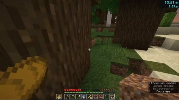 Former World Record & First sub20 - Minecraft 1.14 Speedrun [19:30]