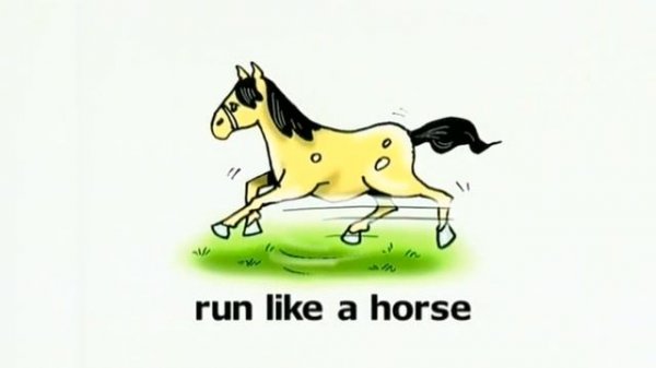 Spotlight 2 My Animals!