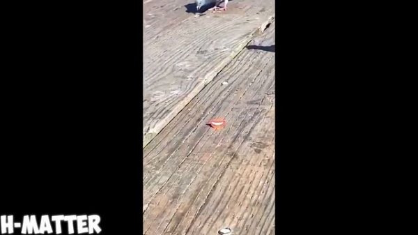 ЛУЧШИЕ МЕМЫ ПОДБОРКА #25