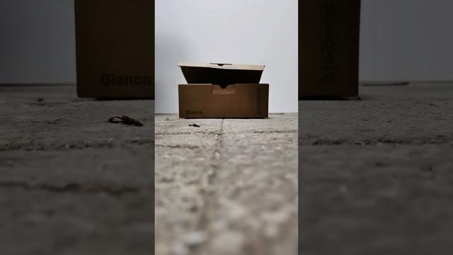 ГДЕ ЗАКАЗАТЬ ВЫВЕСКУ И НАРУЖНУЮ РЕКЛАМУ? / 1Формат смотреть онлайн