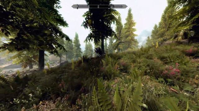 BEST SKYRIM SE CONSOLE GRAPHICS / BEST ENB EFFECT / BEST DISPLAY ENHANCEMENT #2 смотреть онлайн