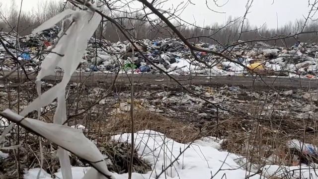 Свалка в Гдове смотреть онлайн