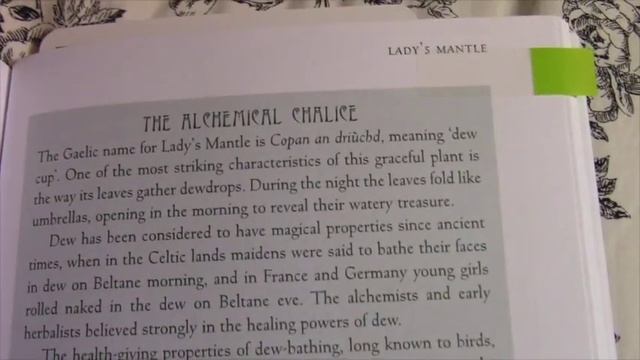 Druid Plant Oracle смотреть онлайн