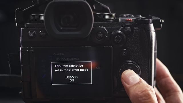 Panasonic Lumix S5IIx Review + S5II Update