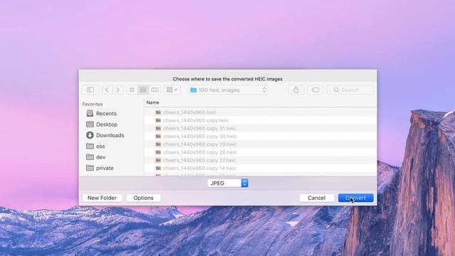 HEIC Converter смотреть онлайн