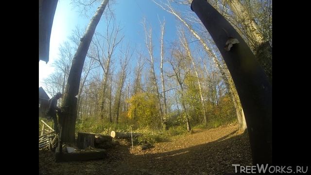 Валка больших деревьев, подборка. Big tree felling compilation (Russia) смотреть онлайн