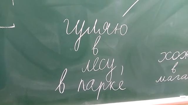 Что ты делаешь в свободное время?