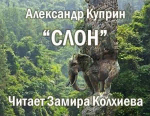 А. Куприн «Слон». Читает Замира Колхиева