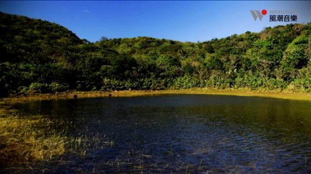 [12] 自然原力Force of Nature台灣森林原音。最純淨的聲波 смотреть онлайн