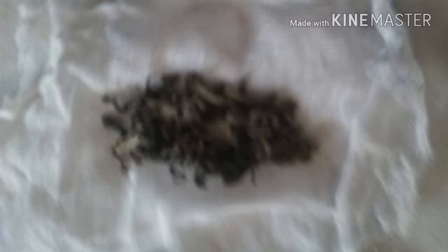 заварник для чая своими руками смотреть онлайн