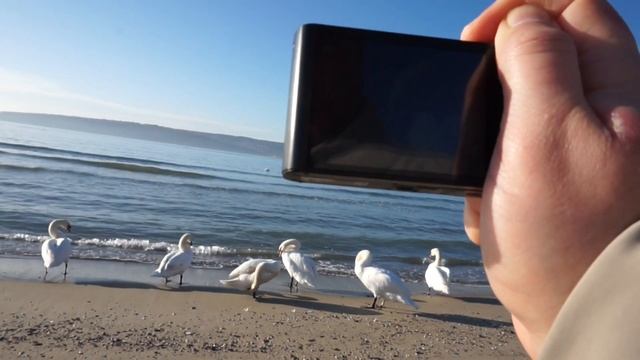 Sony DSC-WX350 in 2023. The perfect pocket camera. смотреть онлайн