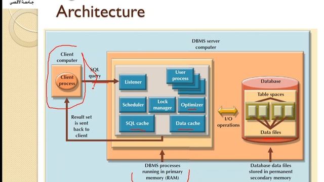 Advance Database systems Lec7 Database Performance Tuning and Query Optimization смотреть онлайн