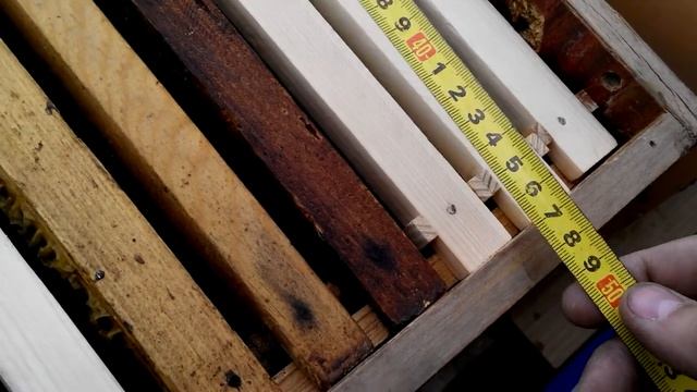 Ловля пчелиных роёв, эффективная ловушка (1) смотреть онлайн