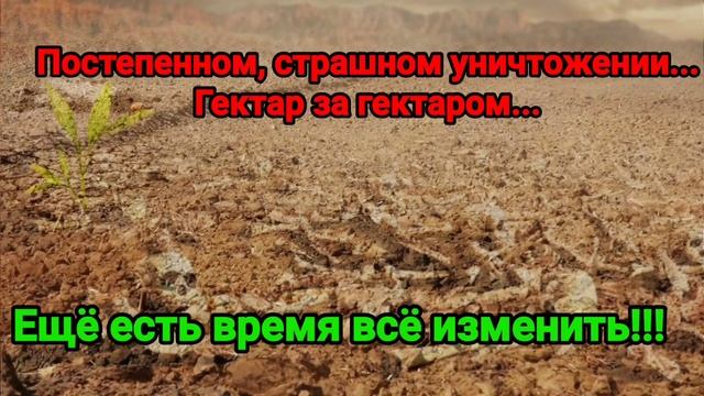 Спасем Почву. Движение с Садхгуру 