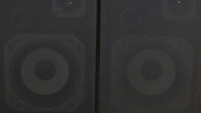 HITAKA 20CM PASSIVE RADIATOR смотреть онлайн