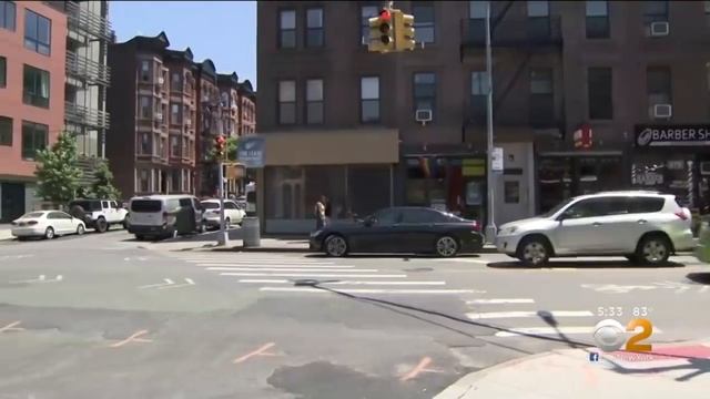 Owner Of Stolen Dog Finds Couple Walking Pet, Snatches Him Back смотреть онлайн