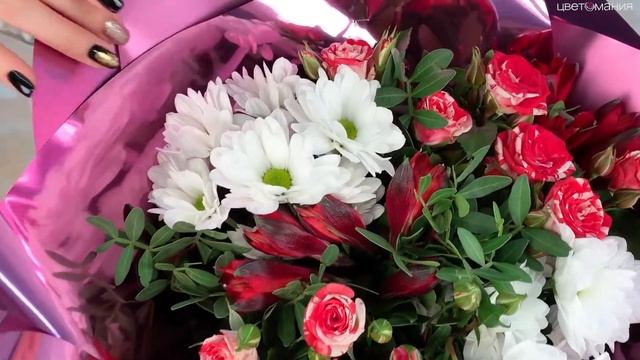 Обзор на букет из кустовой розы фаерворк с хризантемой и альстромерией "Сияние звезд" смотреть онлайн