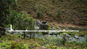 МИСРИЯТ - СКАЖИ ЧТО ТВОЯ 2024