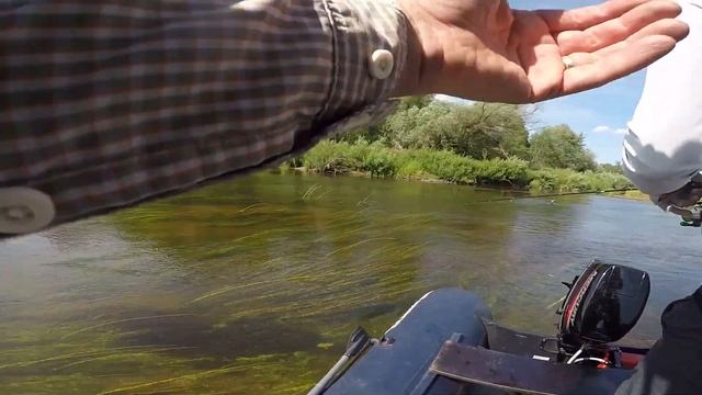 Лучший воблер на ГОЛАВЛЯ и ЖЕРЕХА летом! Ловля Голавля на Спиннинг! Рыбалка на голавля и жереха 202 смотреть онлайн