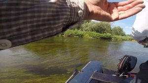 Лучший воблер на ГОЛАВЛЯ и ЖЕРЕХА летом! Ловля Голавля на Спиннинг! Рыбалка на голавля и жереха 202