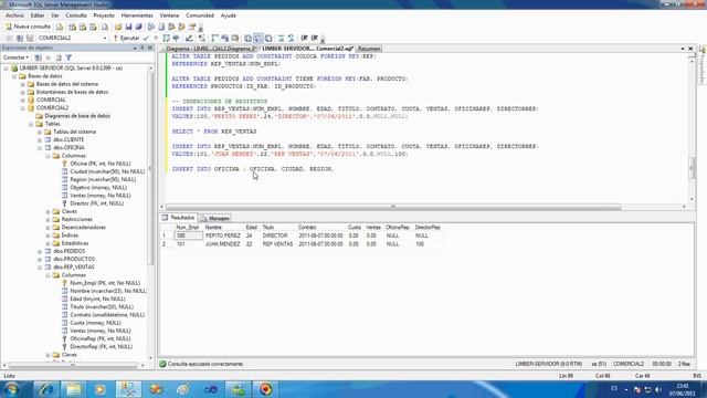 Adicionar, modificar y eliminar registros con sentencias SQL (10) смотреть онлайн