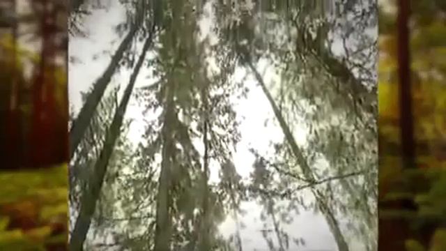 Для здоровья смотреть онлайн