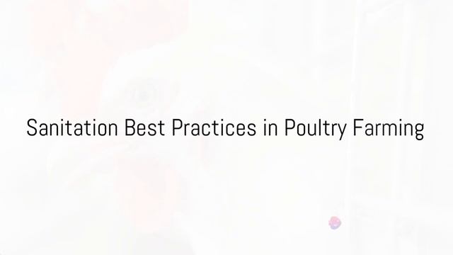 Hygiene Heroes: Winning the Battle Against Infections in Poultry Farming смотреть онлайн