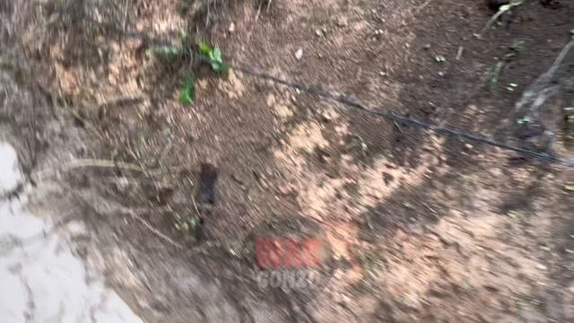 ⚡️Специальный репортаж WG из Авдеевской промки⚡️