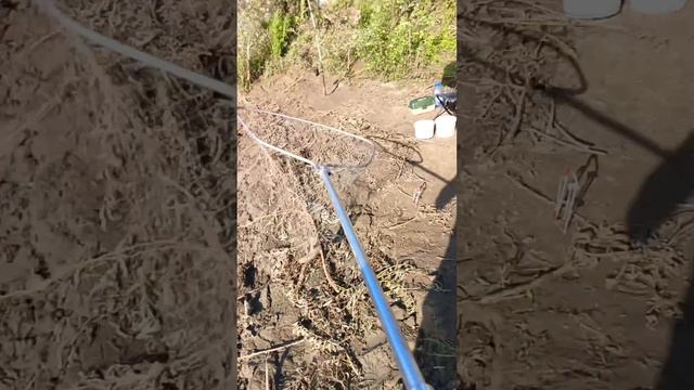 Ловля леща на донку. смотреть онлайн