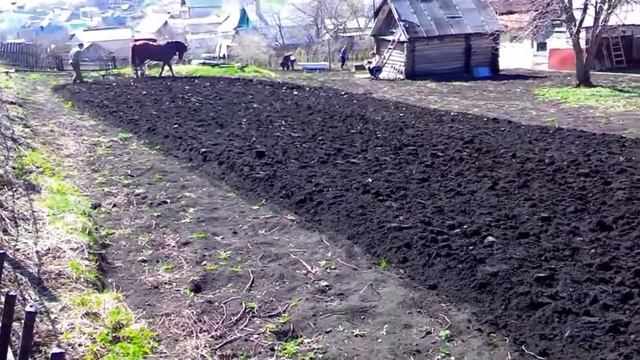 Пять общечеловеческих ценностей и Судьба смотреть онлайн