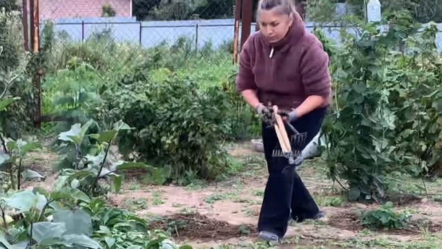 ДАЧА!!! Процесс необратим…?? смотреть онлайн